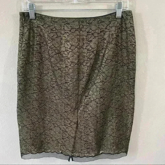 Ann Taylor lace overlay skirt - Picture 4 of 5